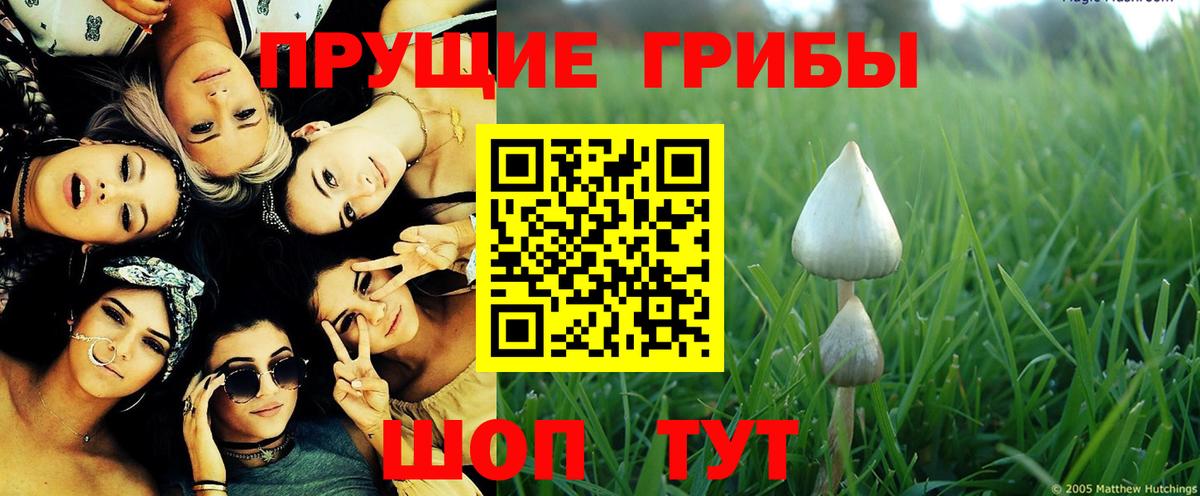 Псилоцибиновые грибы мицелий  Вход с VPN  Нововоронеж 