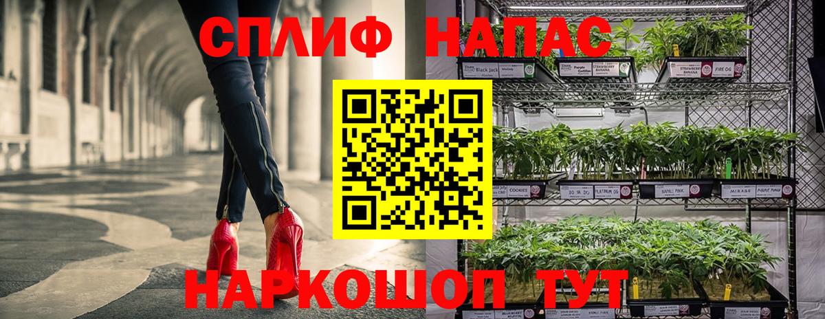 Конопля план  Вход с VPN  Нововоронеж  Каннабис ГИДРОПОН  Бошки марихуана Bruce Banner 